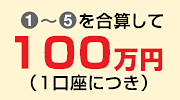 (1)〜(5)を合算して100万円(1口座につき)