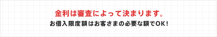 金利は審査によって決まります。お借入限度額はお客さまの必要な額でOK！金利は審査によって決まります。